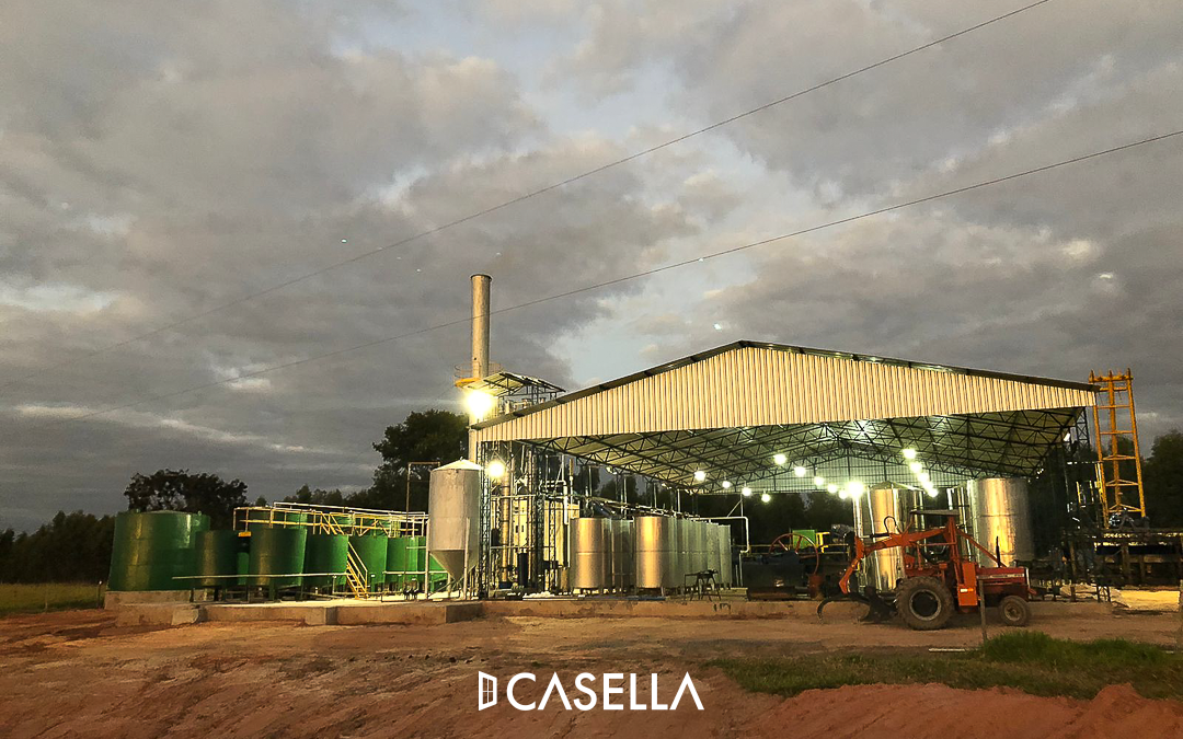 Oportunidade imperdível de investimento na região de Ribeirão Preto/SP!